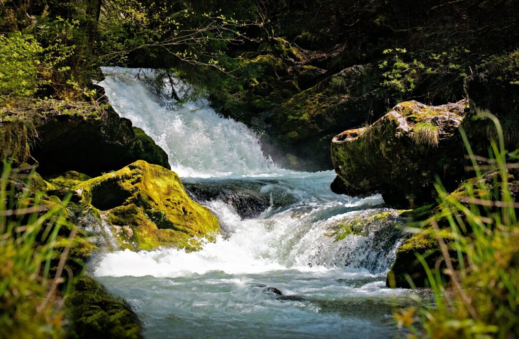 Göttliche Ökonomie: Let it flow !